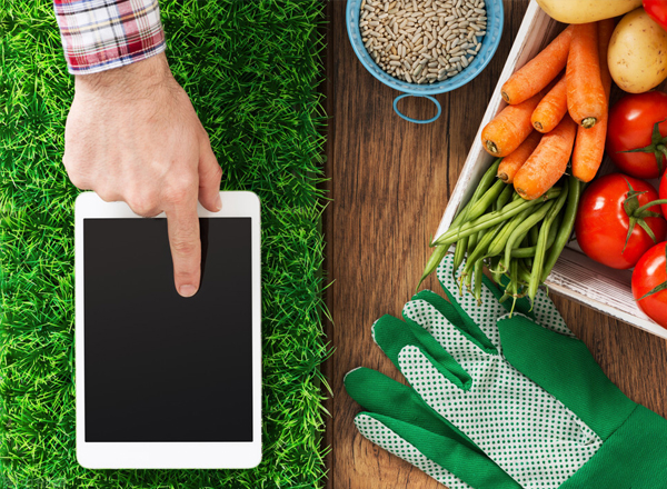 2022年，智慧農業的熱度會降低嗎？