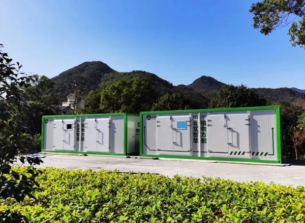 小山村飛進(jìn)“金鳳凰”