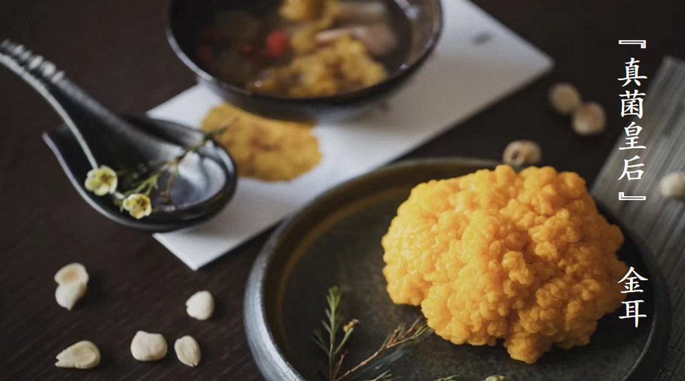 云笈生態∣“真菌皇后”金耳的營養價值與各種吃法科普